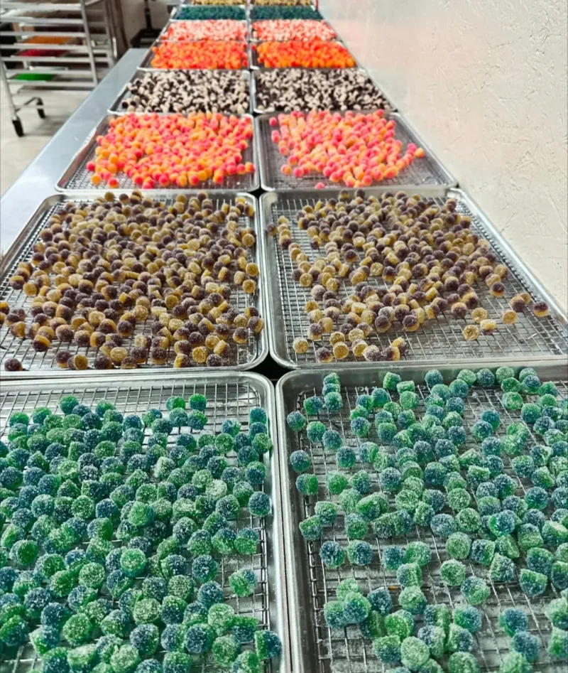 Rows of colorful gummies drying on trays
