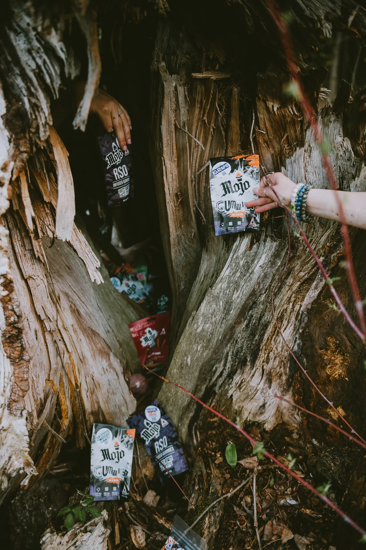 Mojo products displayed in front of a tree